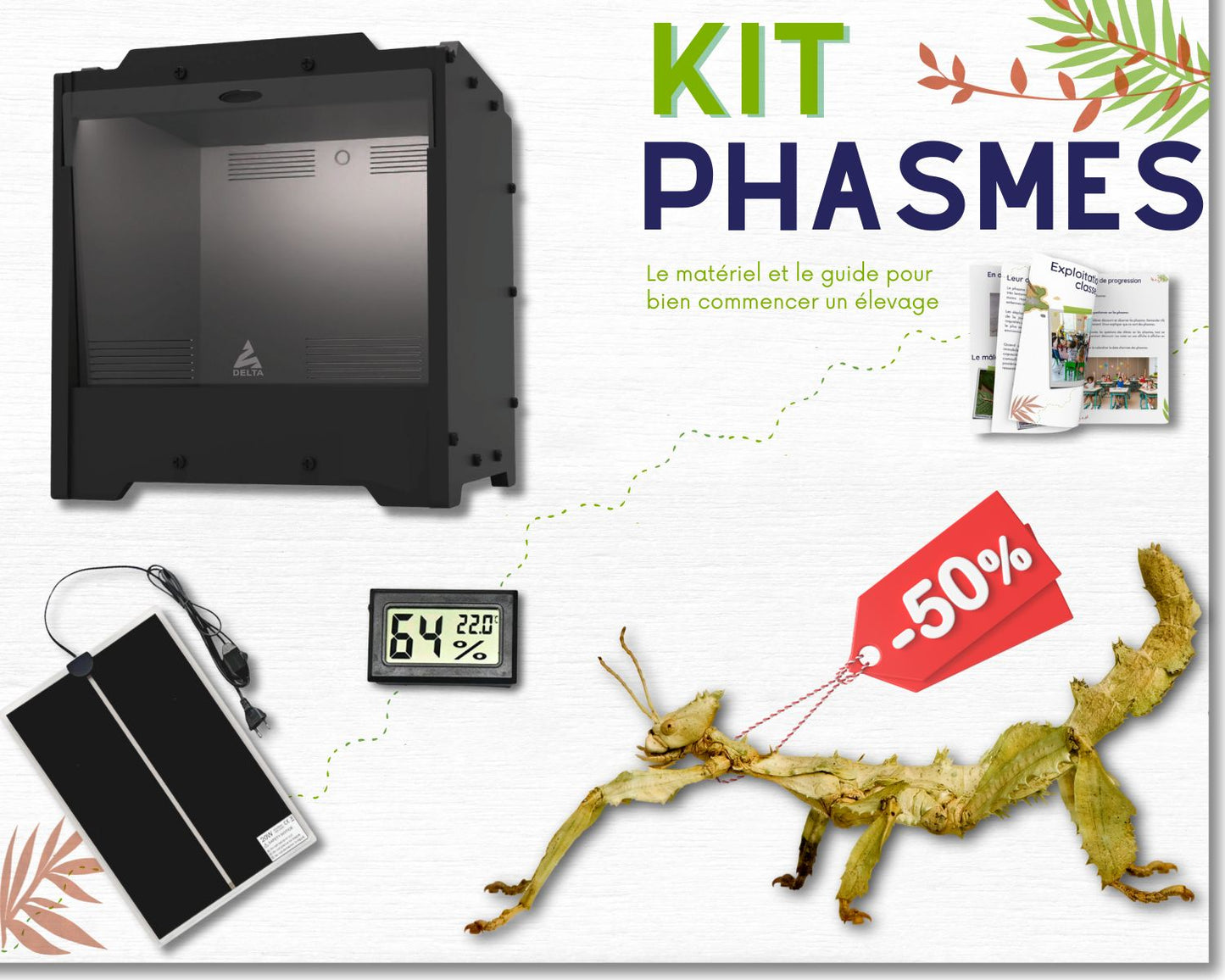 Geschenkset Phasmidenzucht