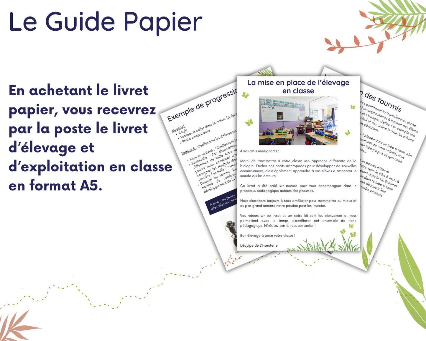 Leitfaden zur Ameisenzucht im Klassenzimmer