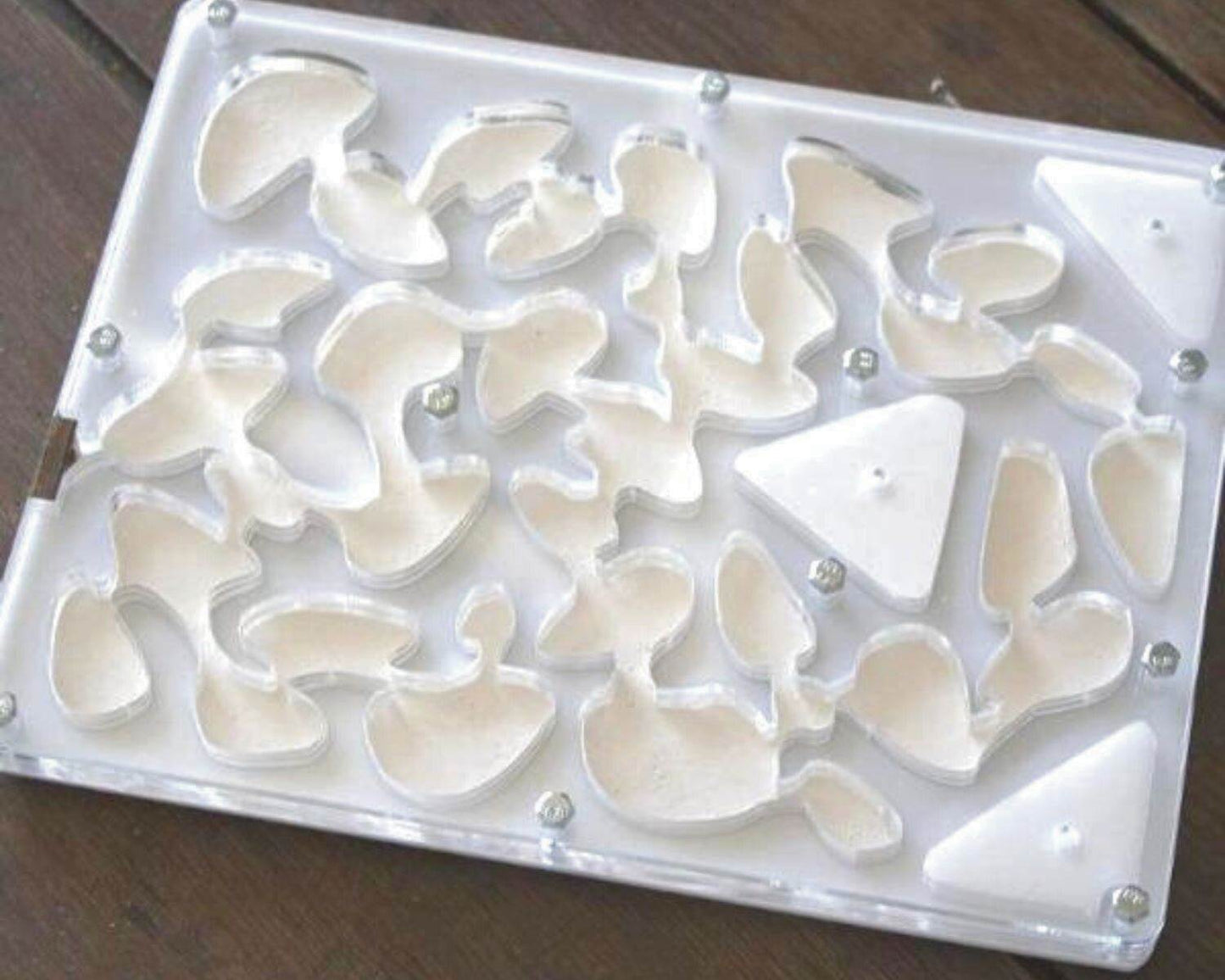 Fourmilière plexi en vente