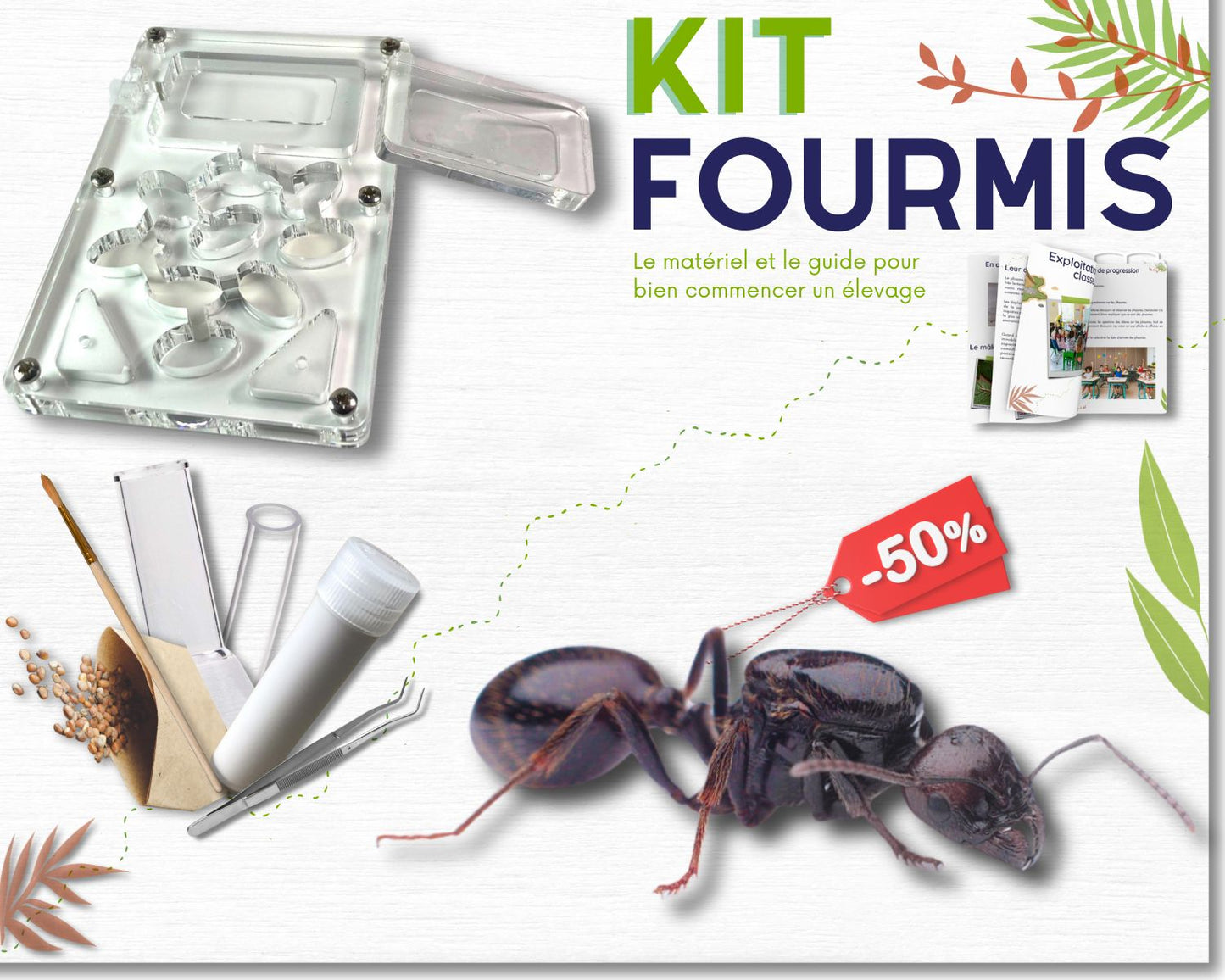 Kit d’élevage de Fourmis - Pack Fondation DELUXE