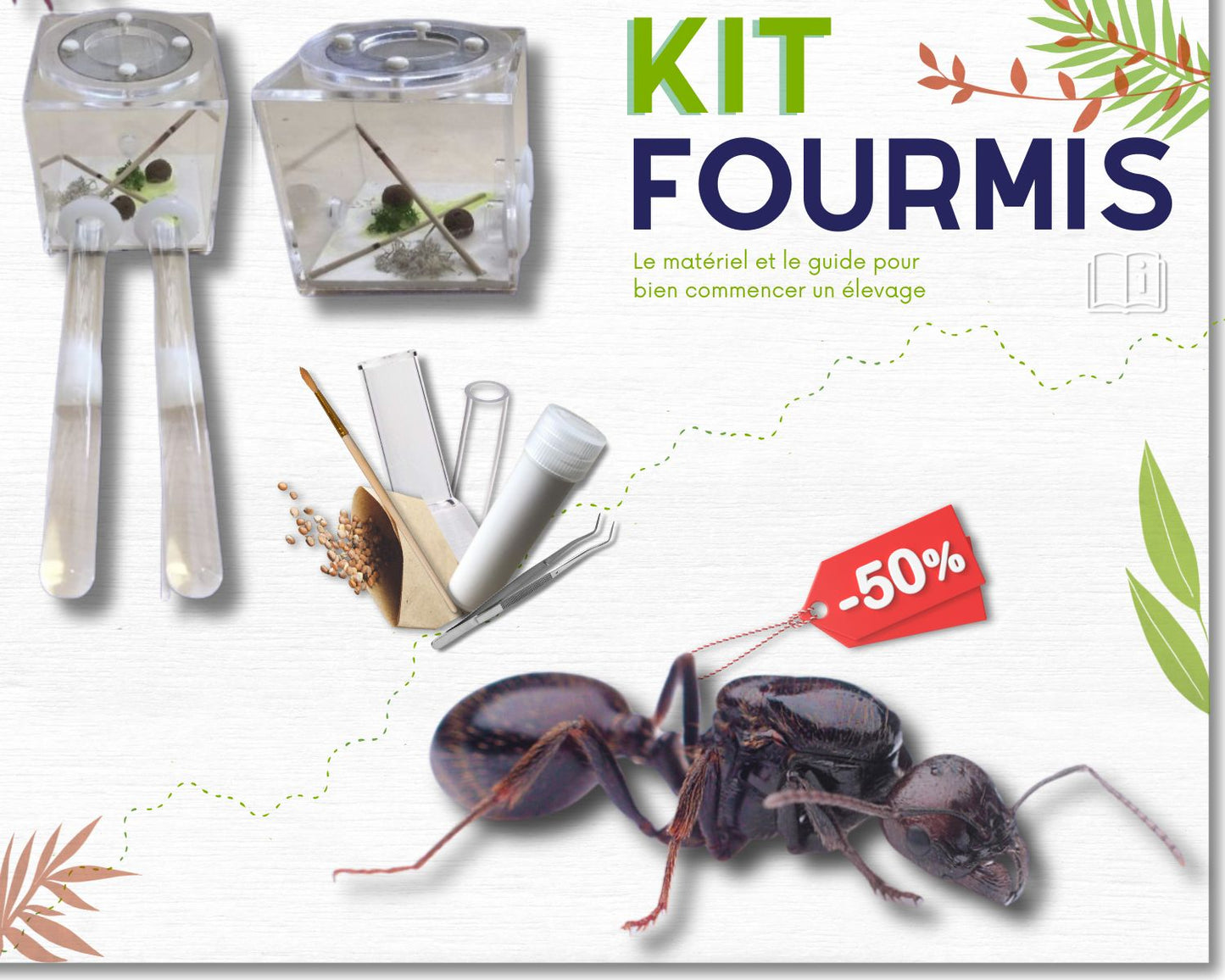 Kit d’élevage de Fourmis - Pack Fondation STARTER