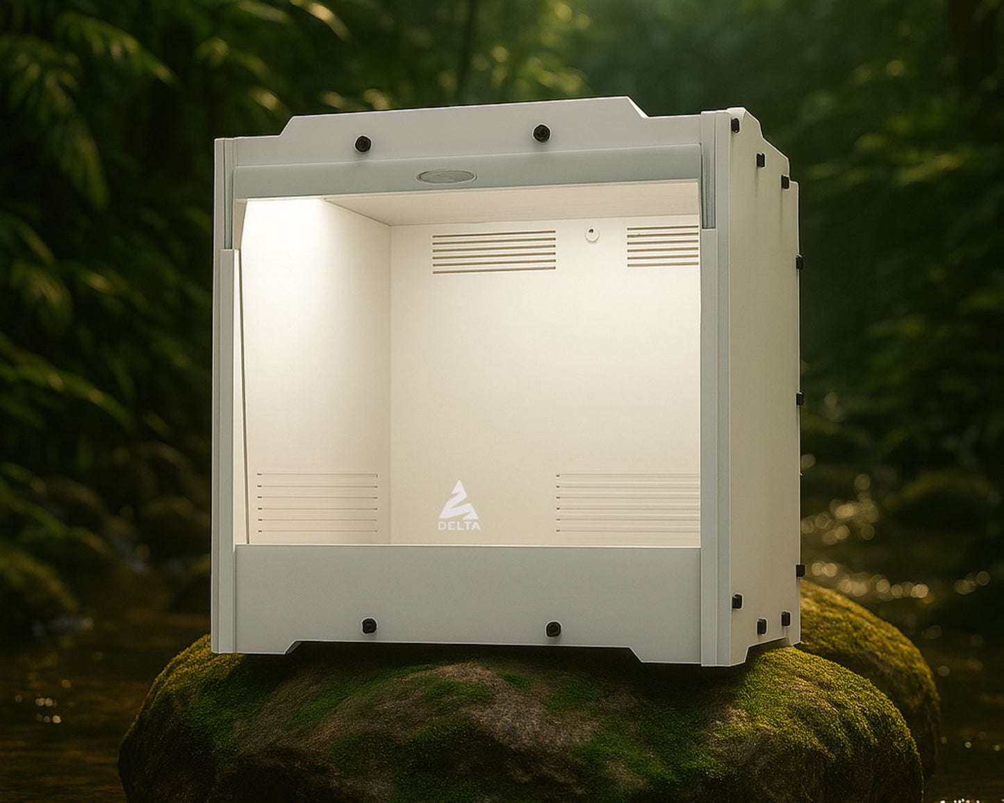 Geschenkset Phasmidenzucht