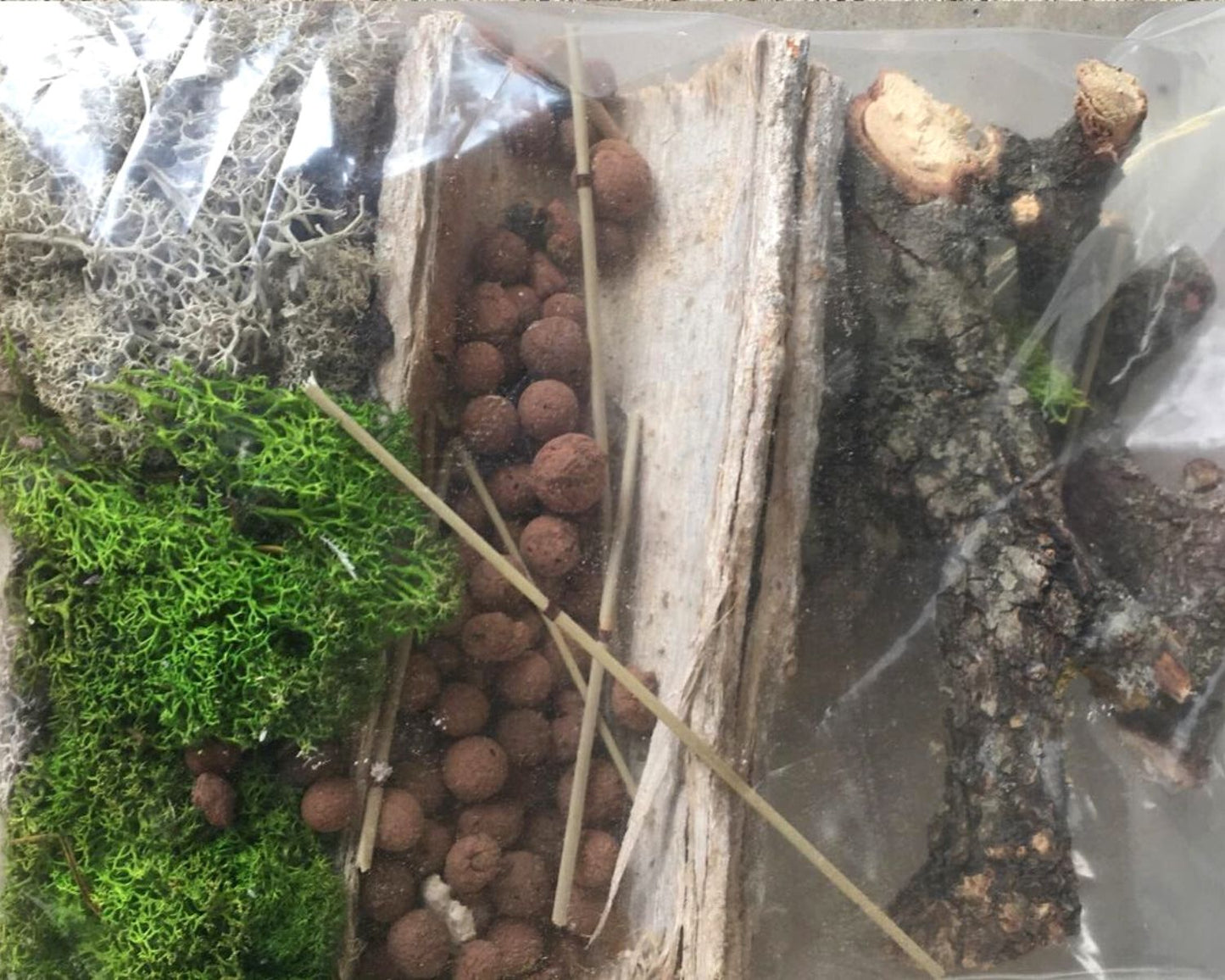 Deko-Set für Vivariums-Insekten