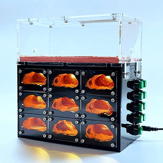 Ameisenhügel mit LED + Arena - Großformat