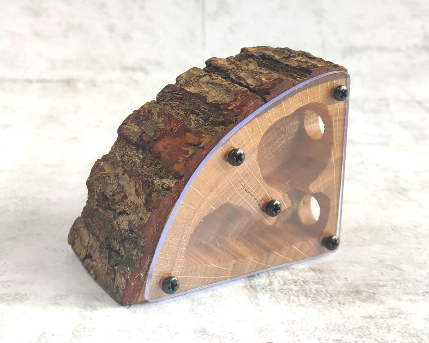 Fourmilière en bois quart de cercle 7 x 7cm