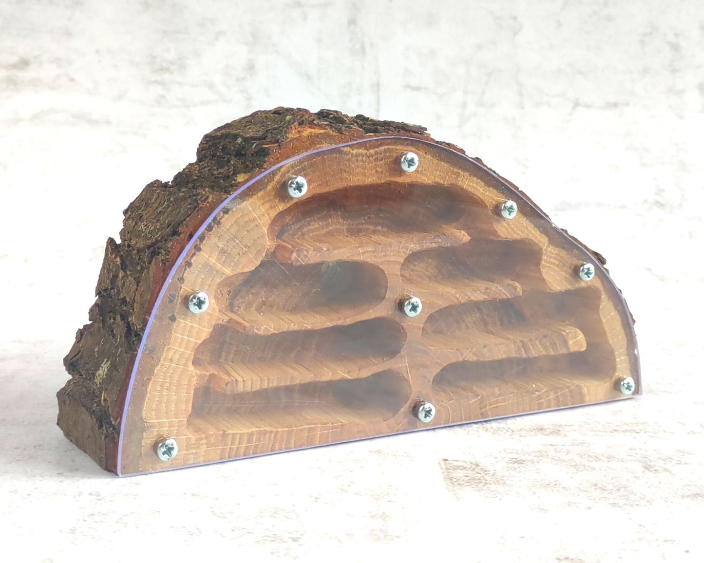 Fourmilière en bois demi cercle 17 x 8cm