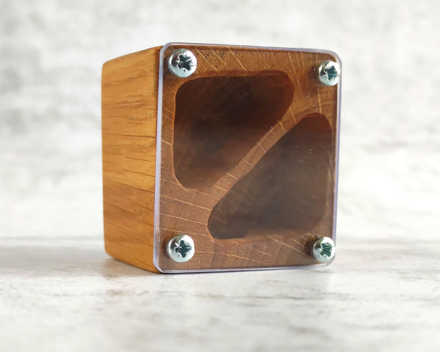 Fourmilière en bois 5 x 5 cm