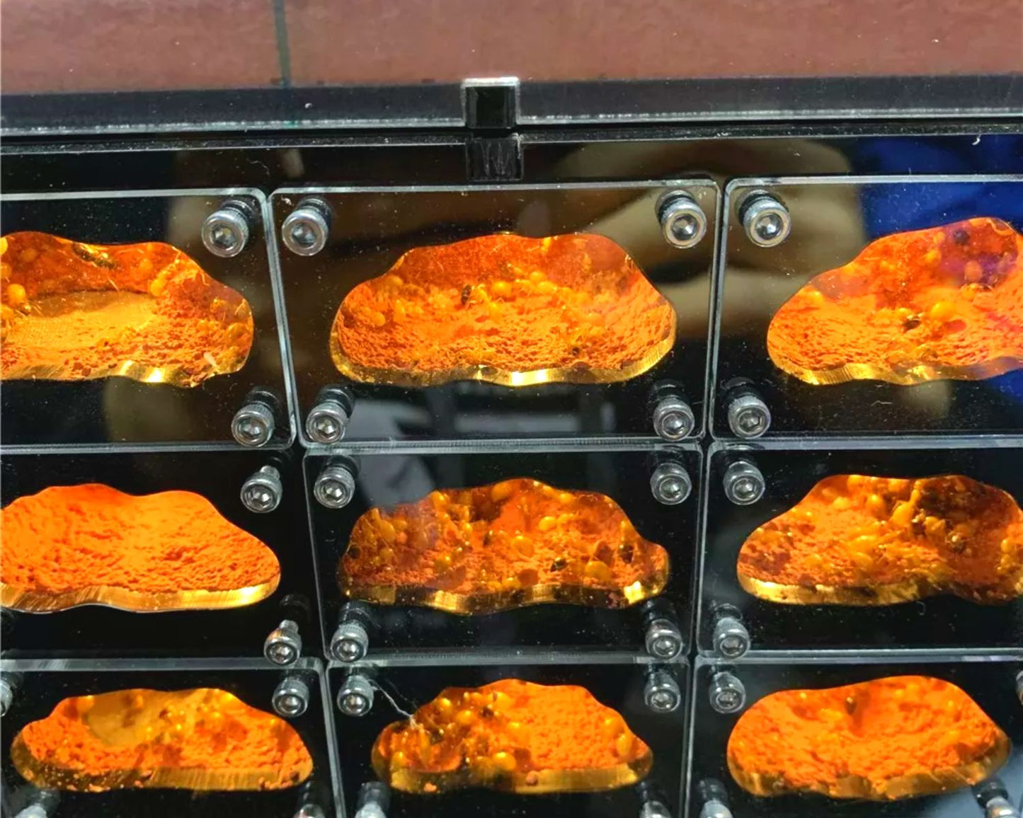 Ameisenhügel mit LED + Arena - Großformat