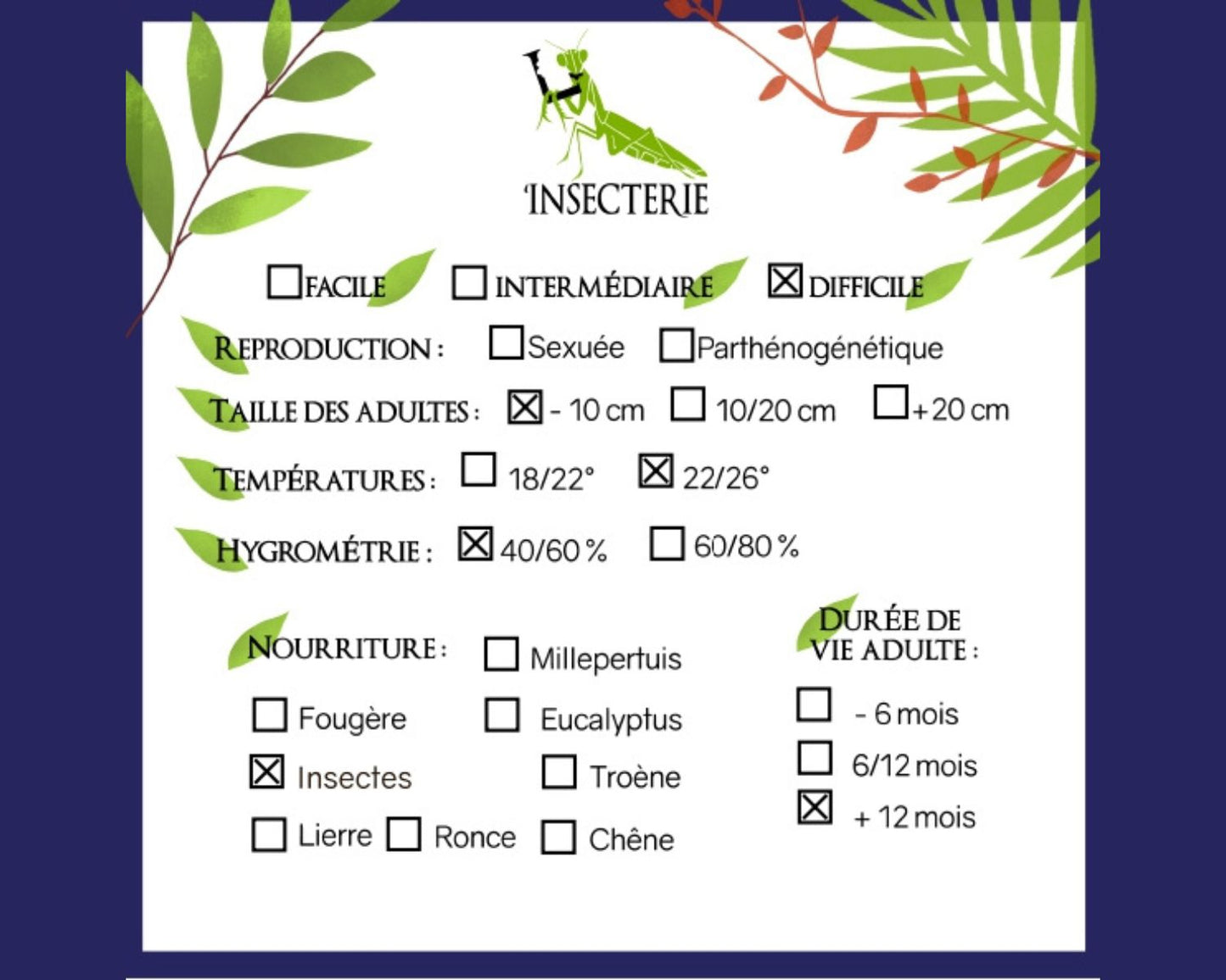 Info sur la fourmi Camponotus ligniperda