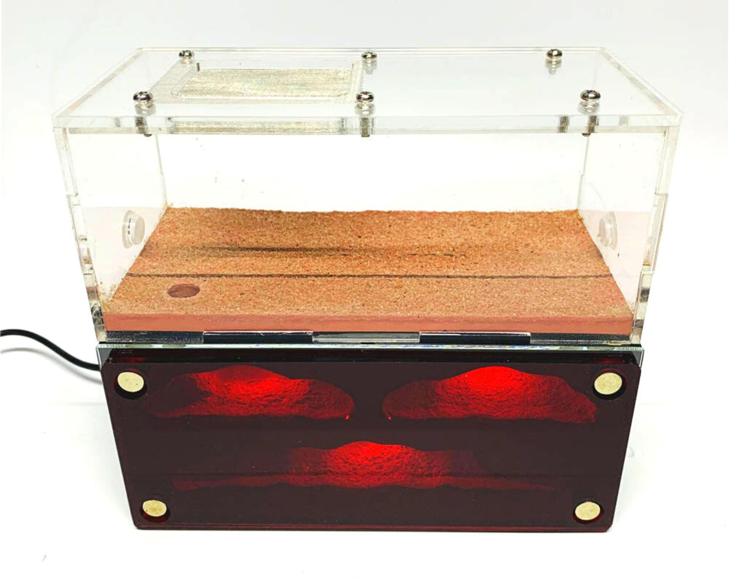 Fourmilière avec LED intégrée + Aire de chasse