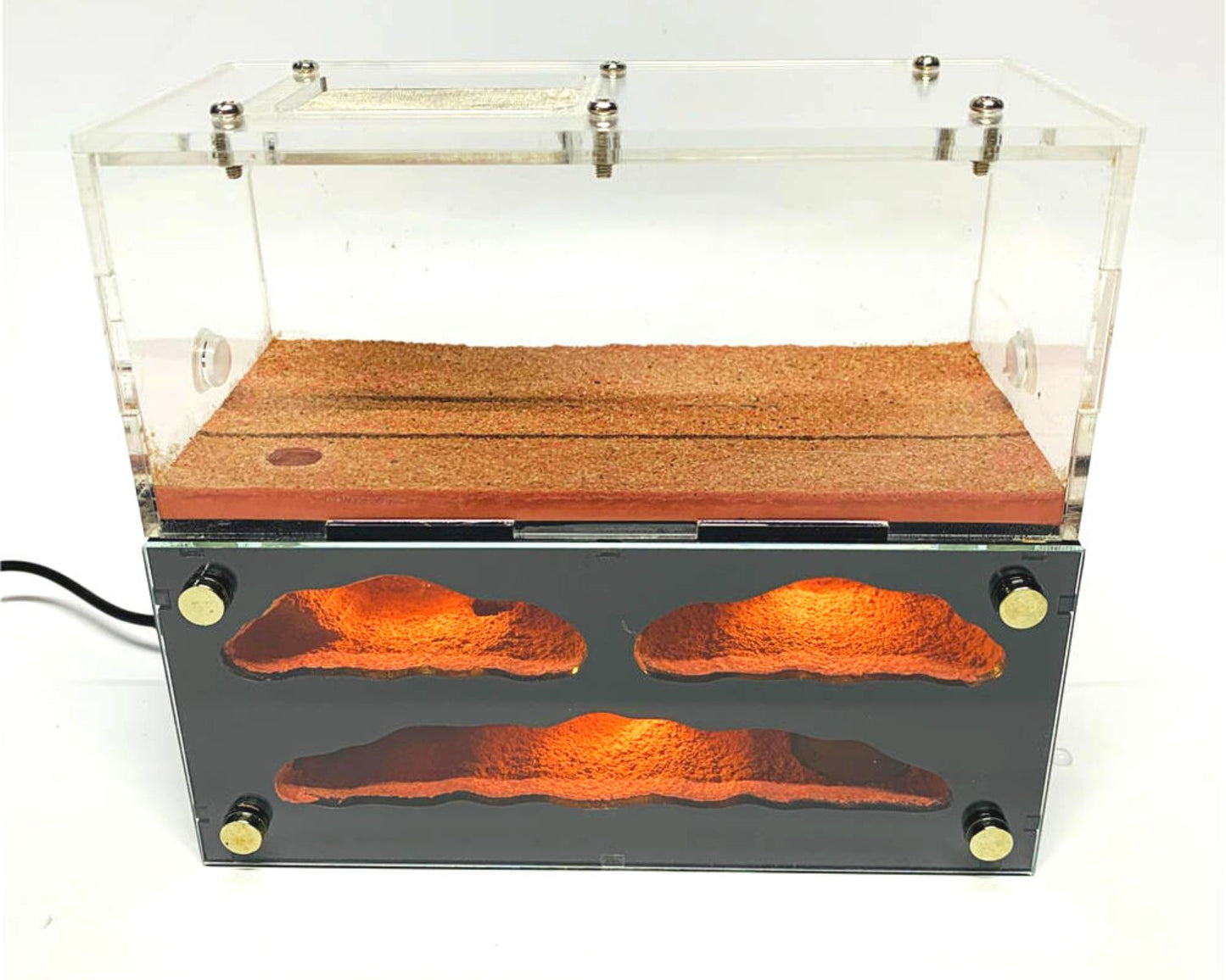 Fourmilière avec LED intégrée + Aire de chasse