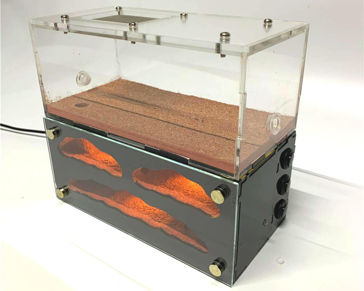 Fourmilière avec LED intégrée + Aire de chasse