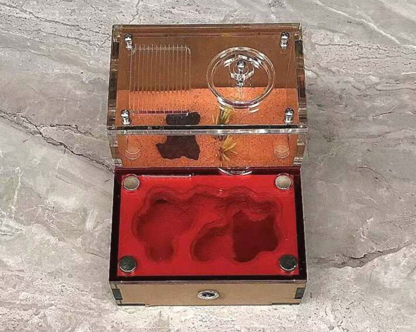 Modularer Ameisenhügel