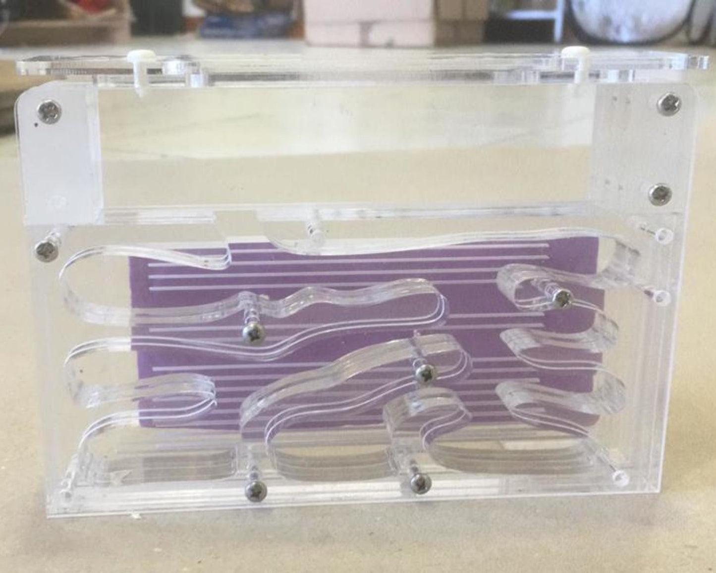 Vertikaler Ameisenhügel