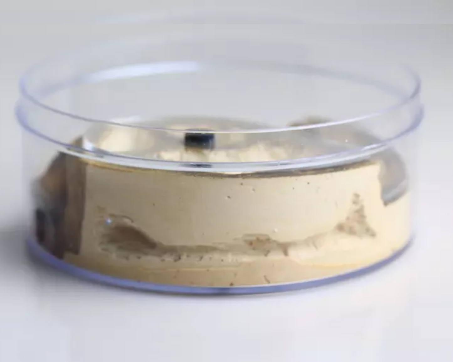 Ameisenhügel + Arena All-in-One