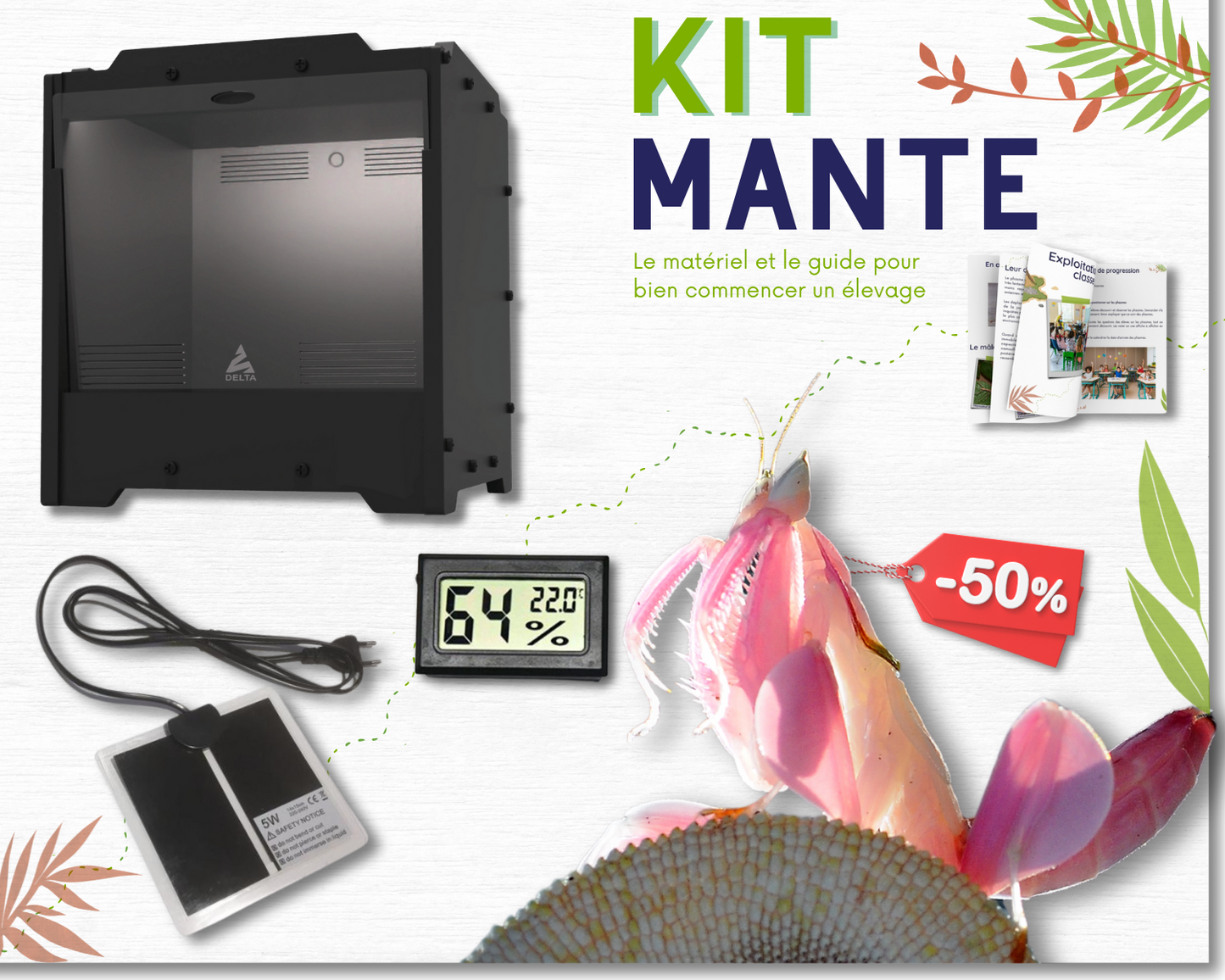 Kit d'élevage - Mante (religieuse)
