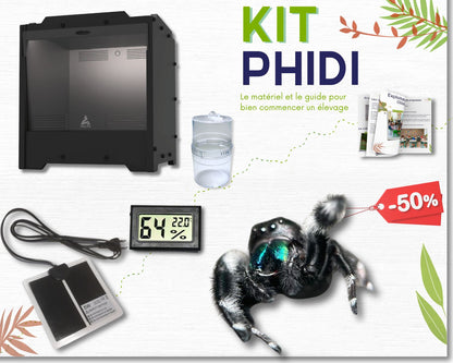 Aufzuchtset - Mantide (Gottesanbeterin) 