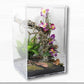 Vivarium Phasme Grand Format