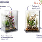 Vivarium Phasme Grand Format