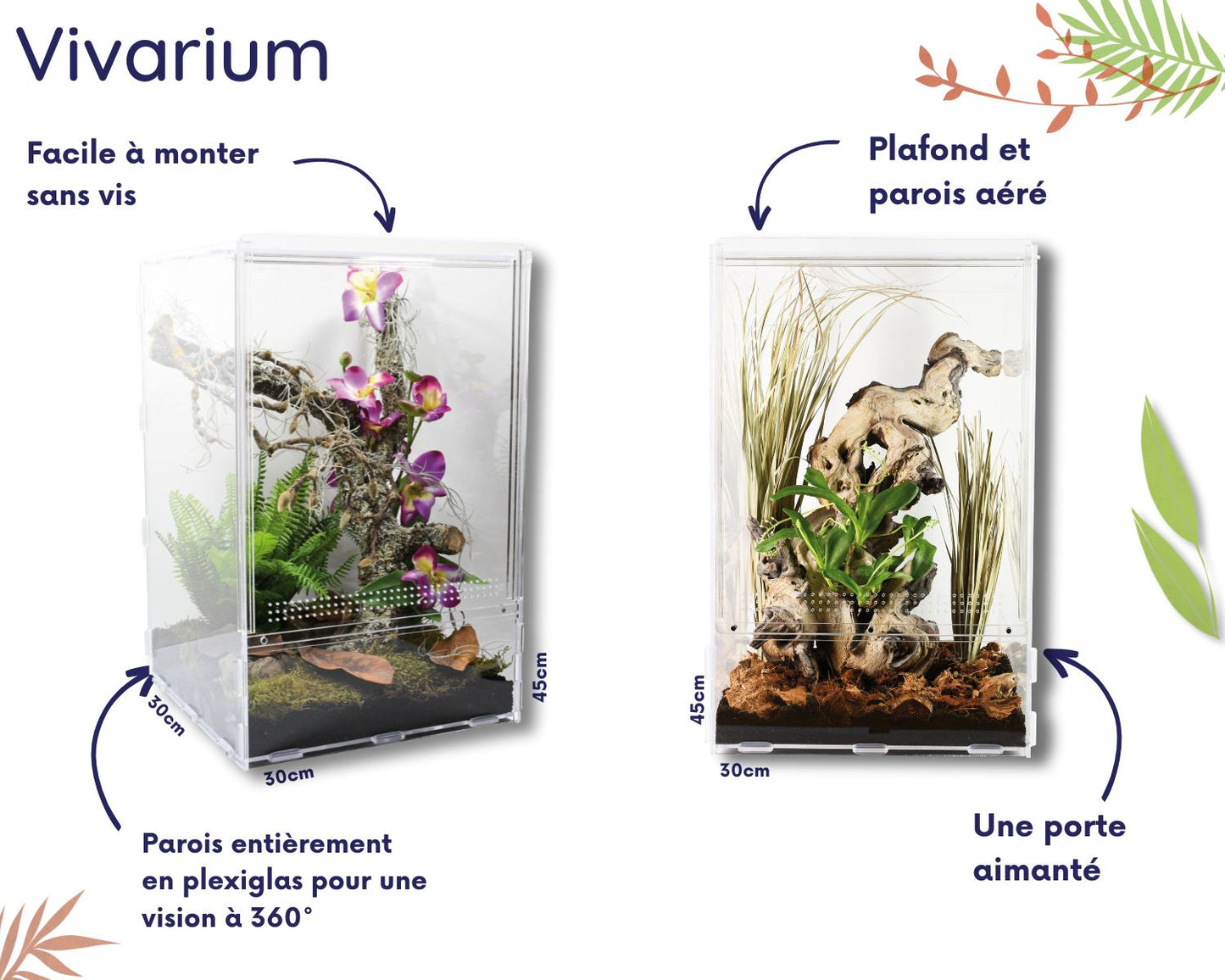 Vivarium Phasme Grand Format