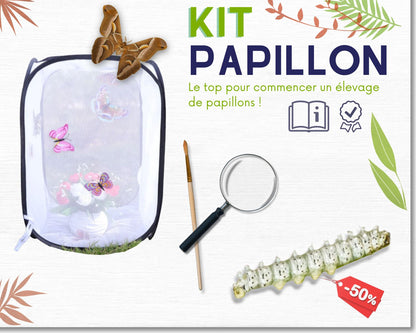 Kit d'élevage - Papillons