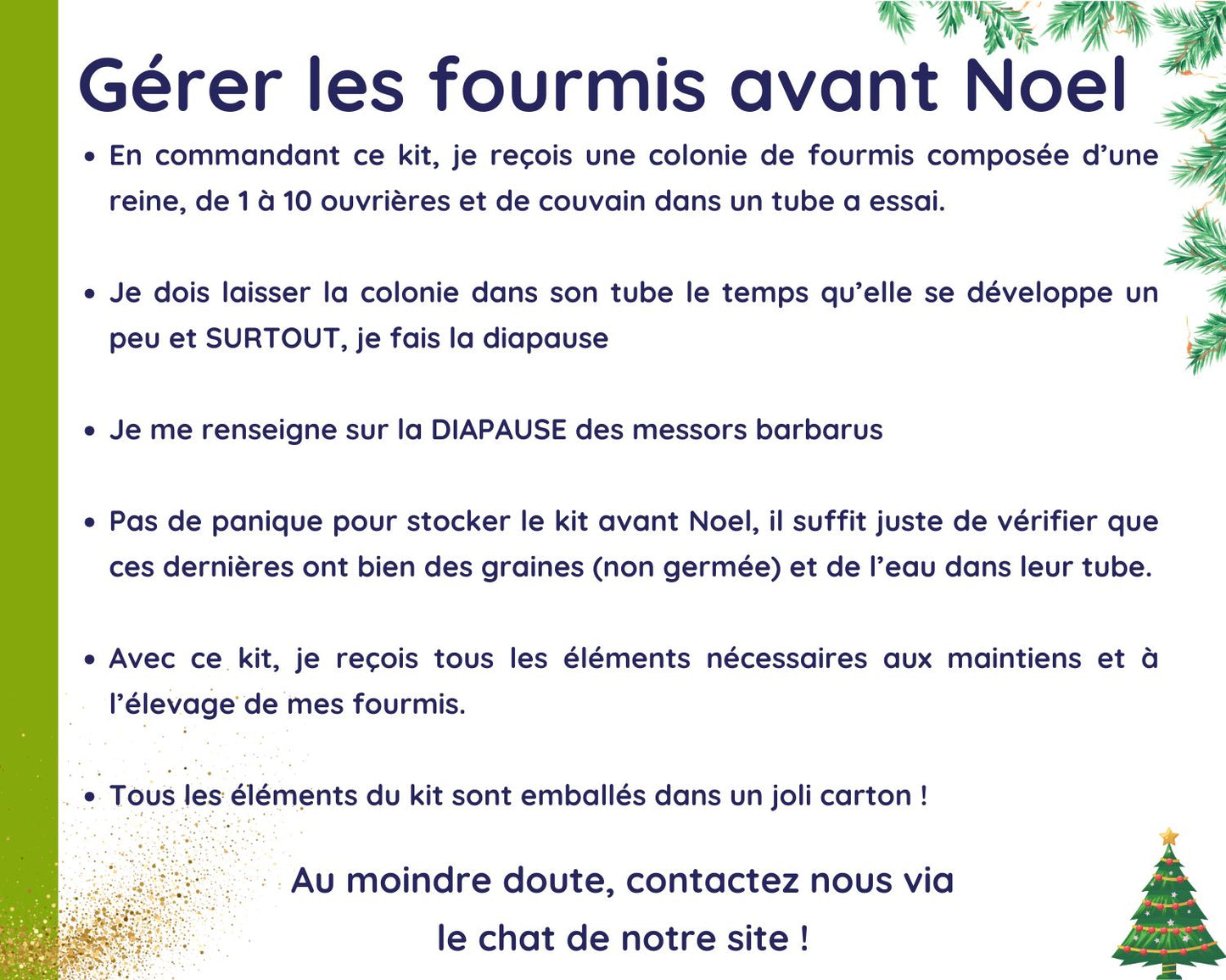 Kit Cadeau - Fourmis - Noel 2024