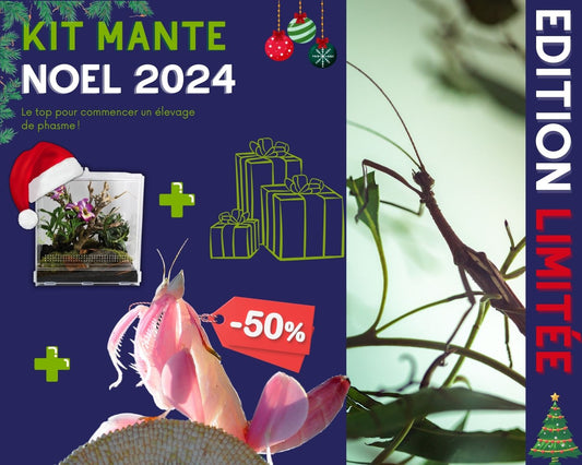 Kit Cadeau - Mante - Noel 2024