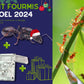 Kit Cadeau - Fourmis - Noel 2024