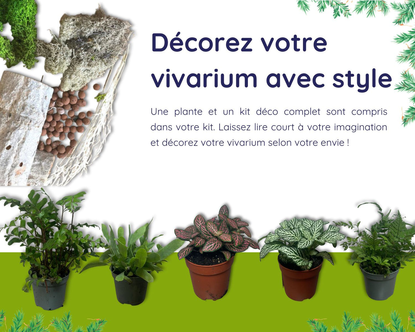 Kit Cadeau - Phidippus - Noel 2025