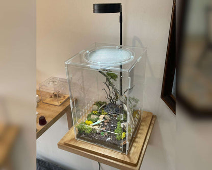 Vivarienlampe mit Bambushalterung 