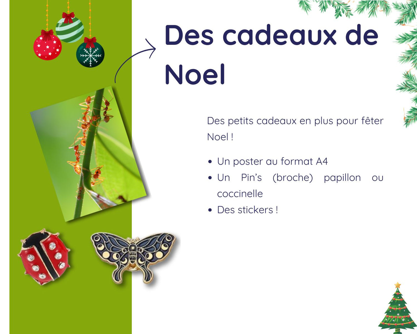 Kit Cadeau - Fourmis - Noel 2024