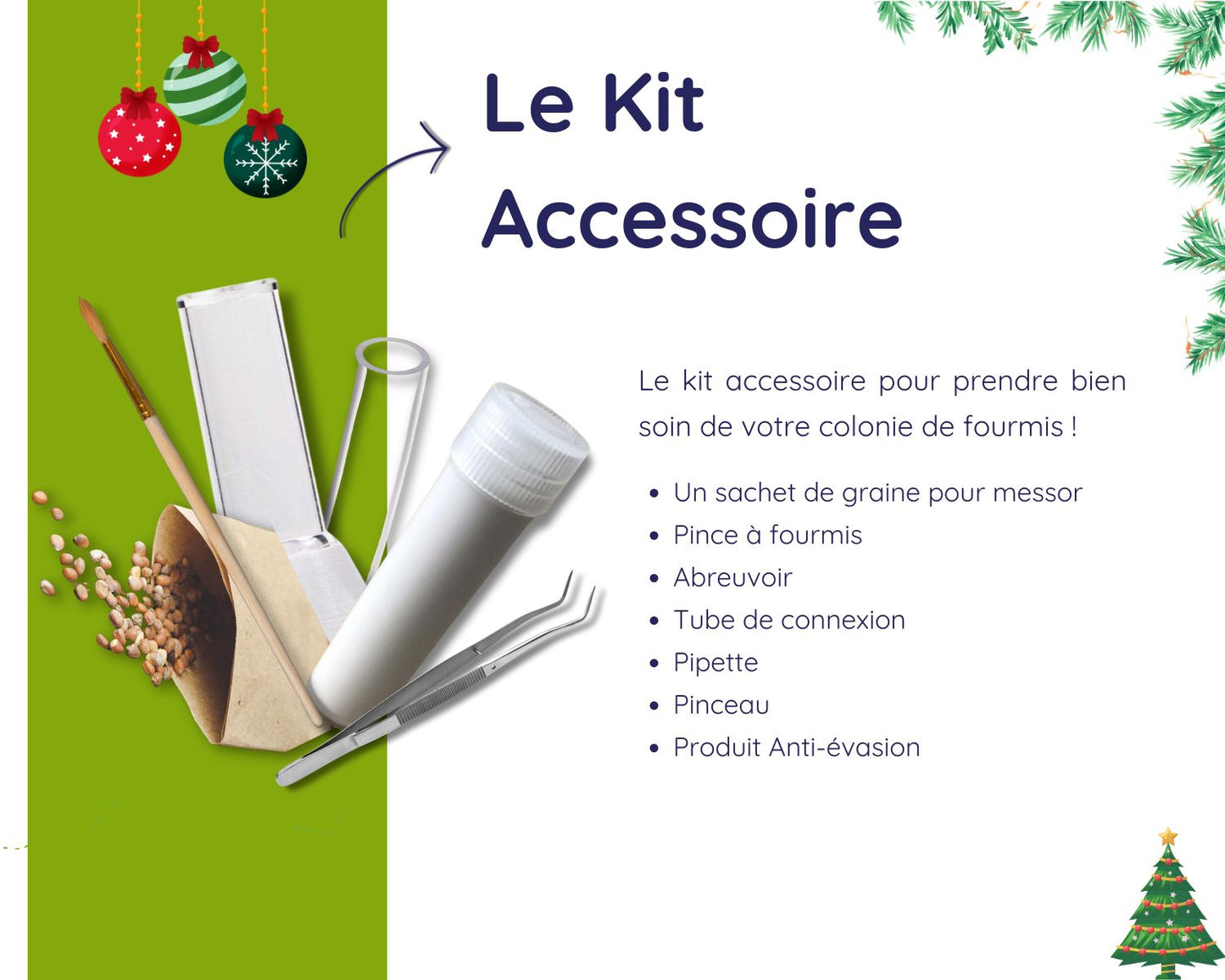 Kit Cadeau - Fourmis - Noel 2024