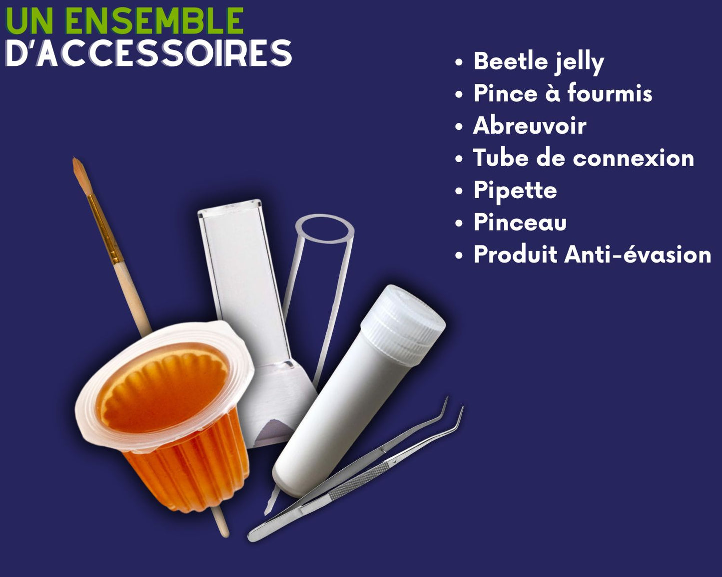 Accessoire élevage fourmis complet