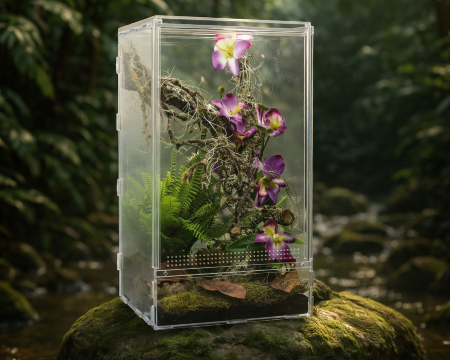 Vivarium Mantes - Lucky reptile