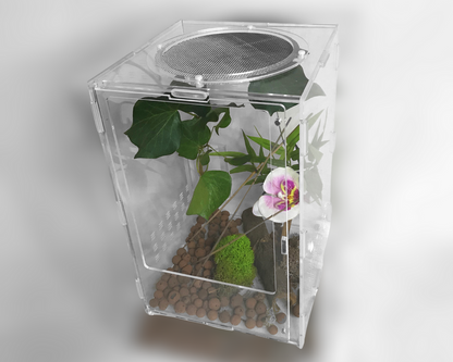 Vivarium pour insectes - Mantes